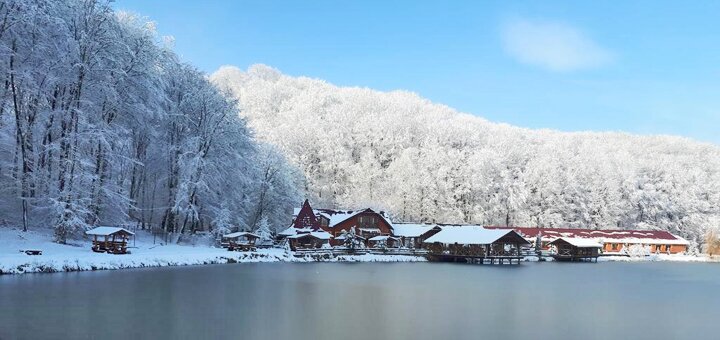 https://cdn1.pokupon.ua/uploaded/new_campaign_pictures/547657/data/main720x340/eakomgbmpnnllopi20181017-9199-1pax7gn20190110-13998-3qeu020190114-2749-1kxgzdp.jpg?1547462839