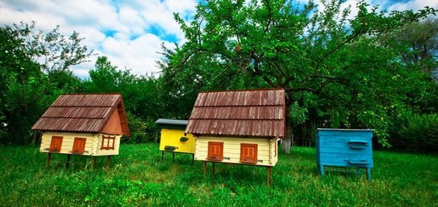 https://cdn1.pokupon.ua/uploaded/new_campaign_pictures/55005/data/main620x292/720x5.jpg?1452610921