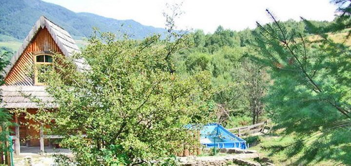 https://cdn1.pokupon.ua/uploaded/new_campaign_pictures/552832/data/main720x340/kottniznzagvigl2.jpg?1551715166