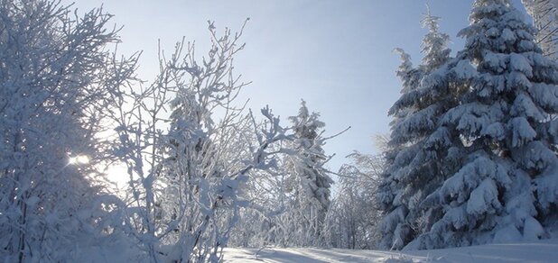 https://cdn1.pokupon.ua/uploaded/new_campaign_pictures/553183/data/main620x292/54b6c79d56a2e.jpg?1548419344