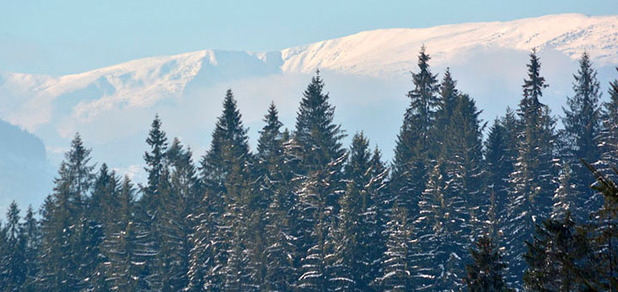 https://cdn1.pokupon.ua/uploaded/new_campaign_pictures/55682/data/main620x292/720x2.JPG?1453450644