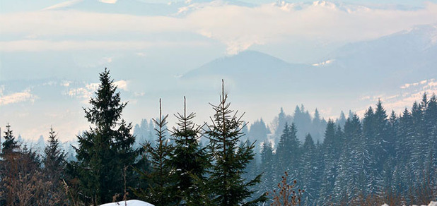 https://cdn1.pokupon.ua/uploaded/new_campaign_pictures/55683/data/main620x292/720x3.JPG?1453450646