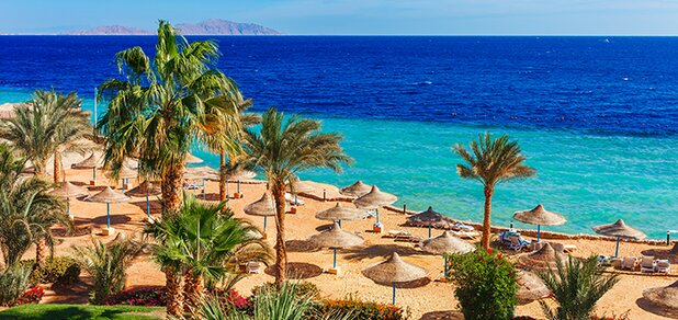 https://cdn1.pokupon.ua/uploaded/new_campaign_pictures/557315/data/main620x292/shutterstock_1073932319.jpg?1549614366