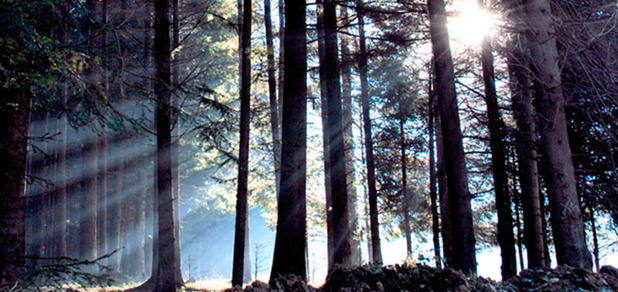 https://cdn1.pokupon.ua/uploaded/new_campaign_pictures/55739/data/main620x292/720x4.JPG?1453472923