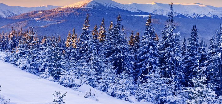 https://cdn1.pokupon.ua/uploaded/new_campaign_pictures/558531/data/main720x340/winter-landscape-of-snow-covered-forest.jpg?1549971503