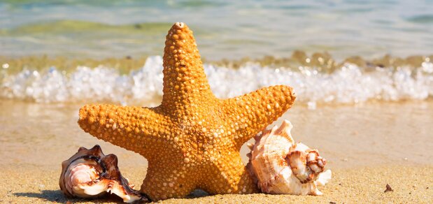 https://cdn1.pokupon.ua/uploaded/new_campaign_pictures/559219/data/main620x292/pexels-photo-414105.jpeg?1550069036