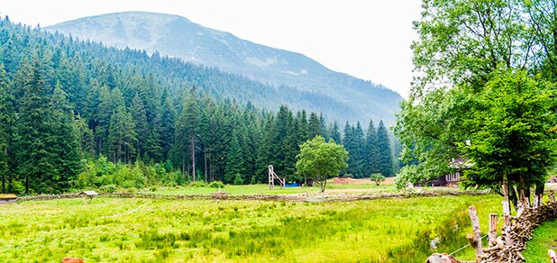 https://cdn1.pokupon.ua/uploaded/new_campaign_pictures/559271/data/main620x292/shutterstock_692825512.jpg?1552909710