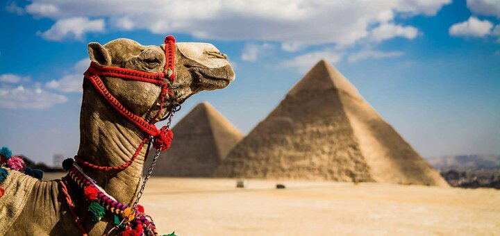 https://cdn1.pokupon.ua/uploaded/new_campaign_pictures/559474/data/main720x340/Egypt_main.jpg?1550146686