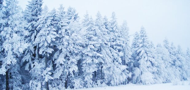 https://cdn1.pokupon.ua/uploaded/new_campaign_pictures/559771/data/main620x292/dsc03040.jpg?1550226432