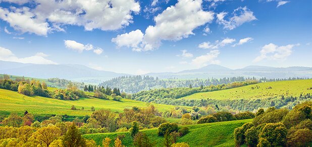 https://cdn1.pokupon.ua/uploaded/new_campaign_pictures/559897/data/main620x292/shutterstock_1317476438.jpg?1553100707