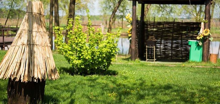 https://cdn1.pokupon.ua/uploaded/new_campaign_pictures/560700/data/main720x340/24.jpg?1550588827