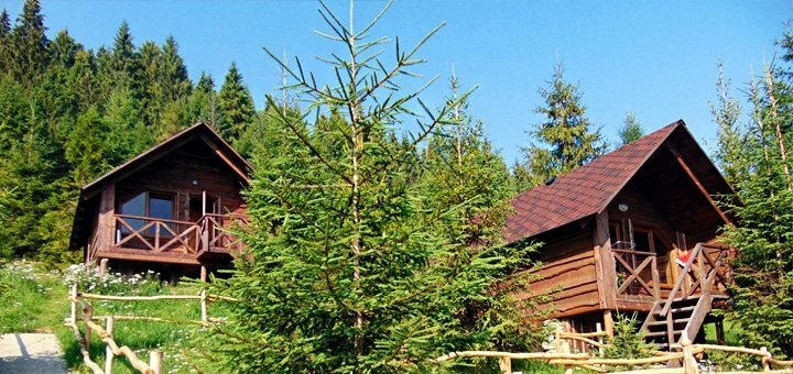 https://cdn1.pokupon.ua/uploaded/new_campaign_pictures/565942/data/main720x340/4.jpg?1551948294