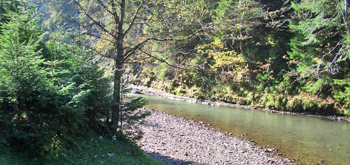 https://cdn1.pokupon.ua/uploaded/new_campaign_pictures/566468/data/main720x340/28.jpg?1552309336