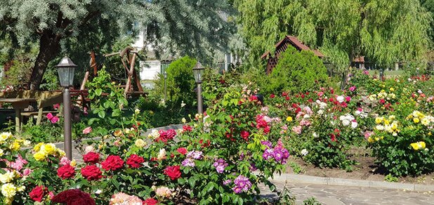 https://cdn1.pokupon.ua/uploaded/new_campaign_pictures/567065/data/main620x292/153149386.jpg?1552398502