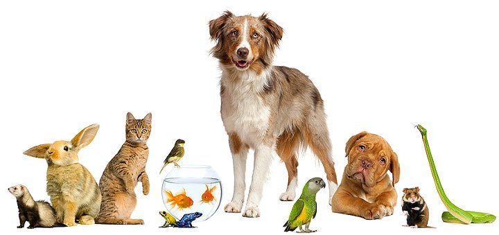 https://cdn1.pokupon.ua/uploaded/new_campaign_pictures/56896/data/main720x340/veter-large01.jpg.jpg?1454683883