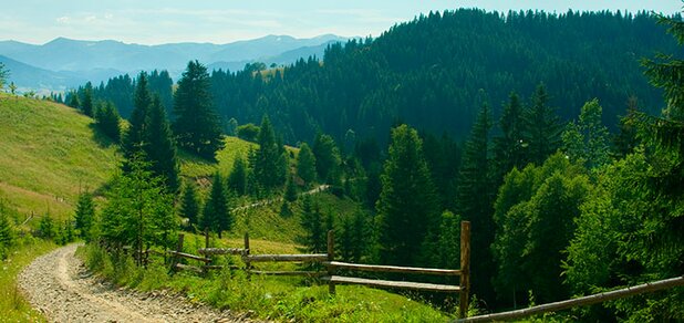 https://cdn1.pokupon.ua/uploaded/new_campaign_pictures/569103/data/main620x292/shutterstock_53482873.jpg?1552909379