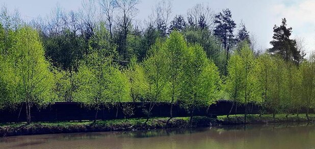 https://cdn1.pokupon.ua/uploaded/new_campaign_pictures/569119/data/main620x292/3.jpg?1552910279