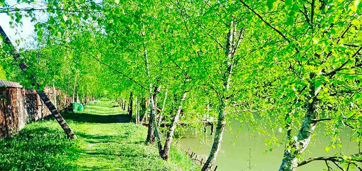 https://cdn1.pokupon.ua/uploaded/new_campaign_pictures/569121/data/main720x340/6.jpg?1552910279