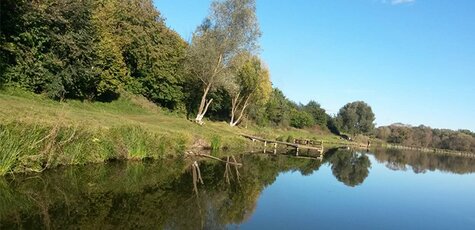 Рыбалка на озере Карпич на карася или карпа