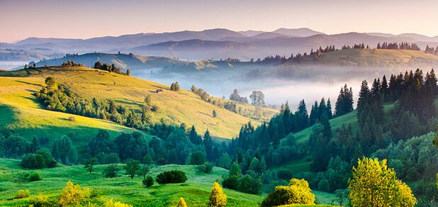https://cdn1.pokupon.ua/uploaded/new_campaign_pictures/571312/data/main620x292/shutterstock_135090605.jpg?1553514137