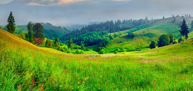 https://cdn1.pokupon.ua/uploaded/new_campaign_pictures/571313/data/main620x292/shutterstock_281415305.jpg?1553514137