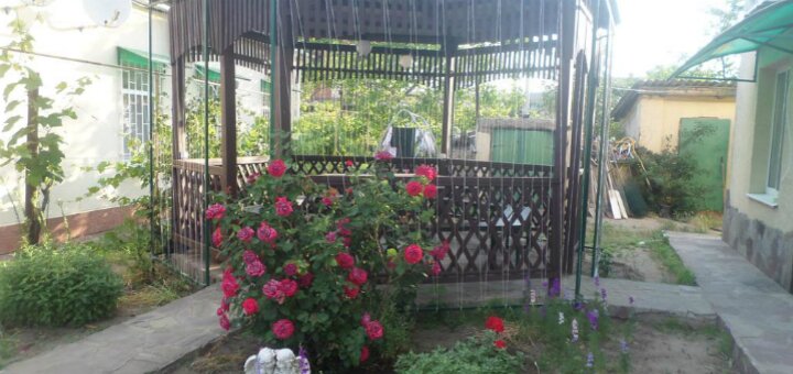 https://cdn1.pokupon.ua/uploaded/new_campaign_pictures/571437/data/main720x340/2.jpg?1553524560