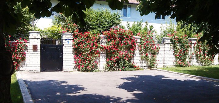 https://cdn1.pokupon.ua/uploaded/new_campaign_pictures/571906/data/main720x340/5.jpg?1553611628