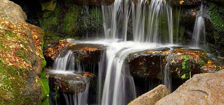 https://cdn1.pokupon.ua/uploaded/new_campaign_pictures/572429/data/main720x340/%D0%B3%D0%BB1.jpg?1553707407