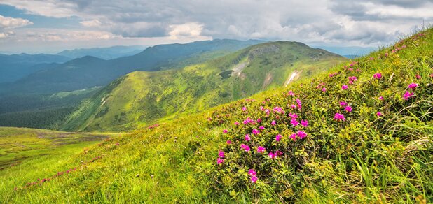 https://cdn1.pokupon.ua/uploaded/new_campaign_pictures/574097/data/main620x292/shutterstock_100928199120190402-15129-wgo8uc.jpg?1554194846