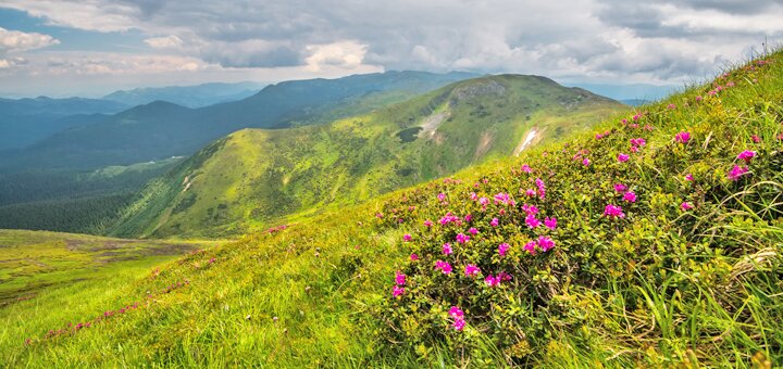 https://cdn1.pokupon.ua/uploaded/new_campaign_pictures/574097/data/main720x340/shutterstock_100928199120190402-15129-wgo8uc.jpg?1554194846