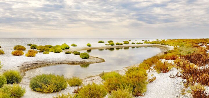 https://cdn1.pokupon.ua/uploaded/new_campaign_pictures/576036/data/main720x340/3.jpg?1554723239
