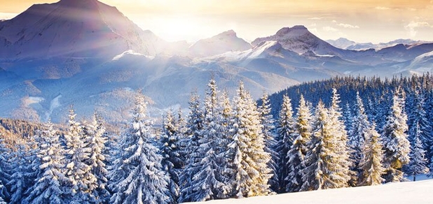 https://cdn1.pokupon.ua/uploaded/new_campaign_pictures/578549/data/main620x292/image1-21.jpg?1606468951