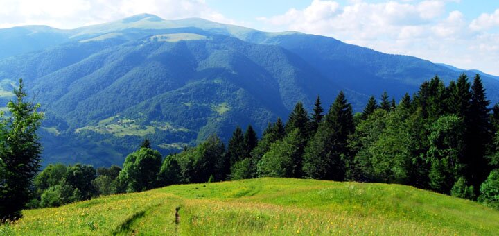 https://cdn1.pokupon.ua/uploaded/new_campaign_pictures/578865/data/main720x340/original.jpg?1555328526