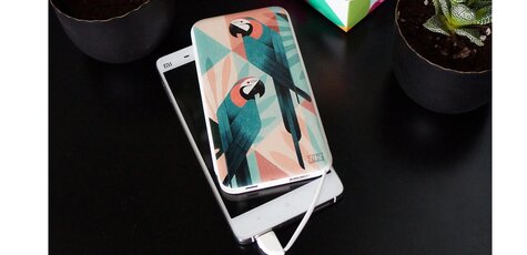 Скидка 20% на powerbanks от украинского бренда ZIZ