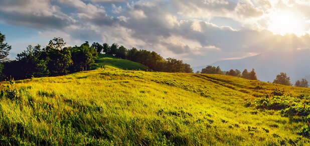 https://cdn1.pokupon.ua/uploaded/new_campaign_pictures/580524/data/main620x292/shutterstock_1094649317.jpg?1555588061