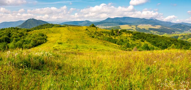 https://cdn1.pokupon.ua/uploaded/new_campaign_pictures/580525/data/main620x292/shutterstock_1089088346.jpg?1555588062