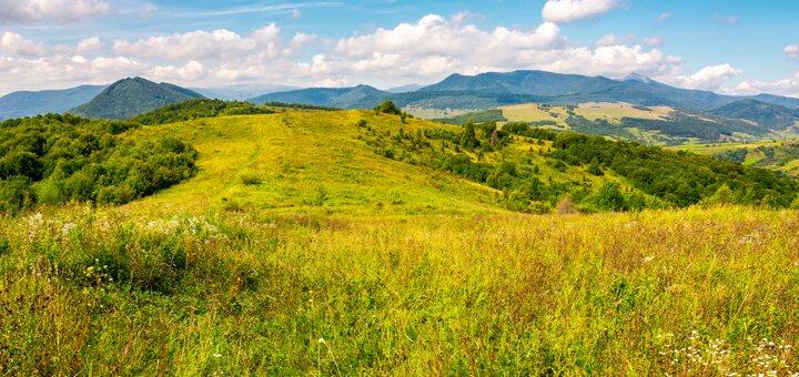 https://cdn1.pokupon.ua/uploaded/new_campaign_pictures/580525/data/main720x340/shutterstock_1089088346.jpg?1555588062