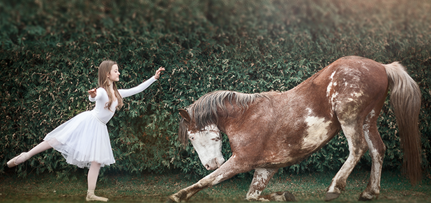 https://cdn1.pokupon.ua/uploaded/new_campaign_pictures/581379/data/main620x292/4.png?1555916856
