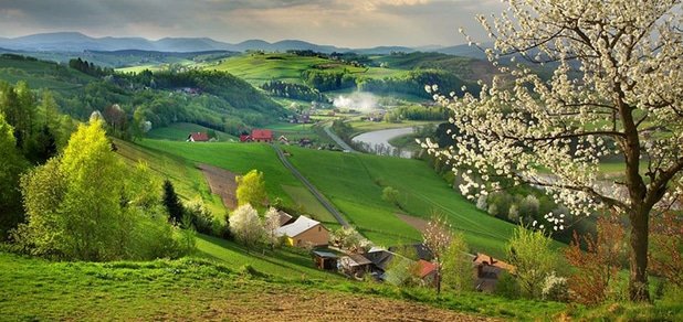 https://cdn1.pokupon.ua/uploaded/new_campaign_pictures/58329/data/main620x292/%D0%B3%D0%BB%D0%B0%D0%B2%D0%BD1.jpg?1456214071