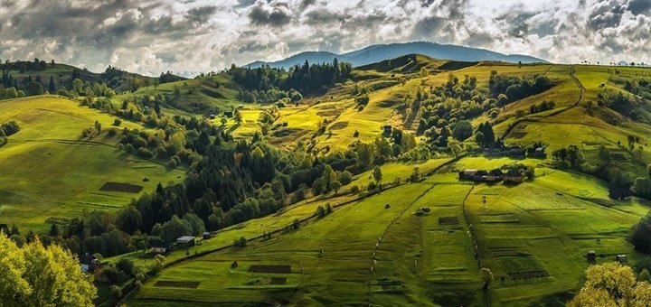 https://cdn1.pokupon.ua/uploaded/new_campaign_pictures/58330/data/main720x340/%D0%B3%D0%BB%D0%B0%D0%B2%D0%BD2.jpg?1456214205