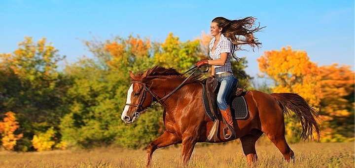 https://cdn1.pokupon.ua/uploaded/new_campaign_pictures/58421/data/main720x340/hors1.jpg?1456229695