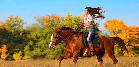 Прогулки на пони и лошадях -40%