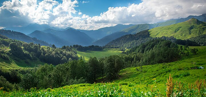 https://cdn1.pokupon.ua/uploaded/new_campaign_pictures/585163/data/main720x340/shutterstock_58780163620190503-16122-1dohsd4.jpg?1556880579
