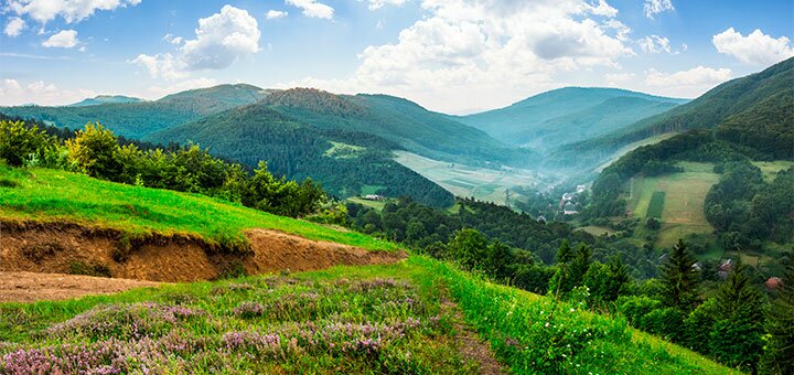 https://cdn1.pokupon.ua/uploaded/new_campaign_pictures/585166/data/main720x340/shutterstock_24160704420190503-16122-16gy6vl.jpg?1556880581