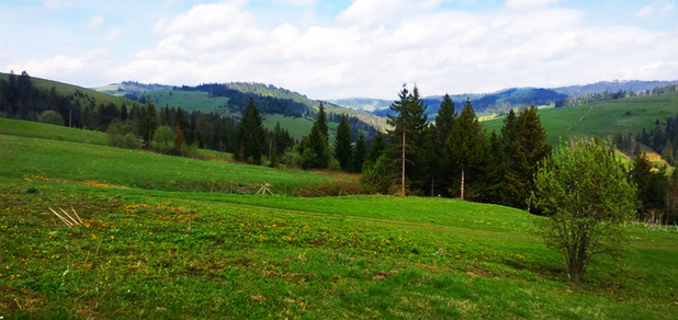 https://cdn1.pokupon.ua/uploaded/new_campaign_pictures/585594/data/main620x292/1.png?1557129785