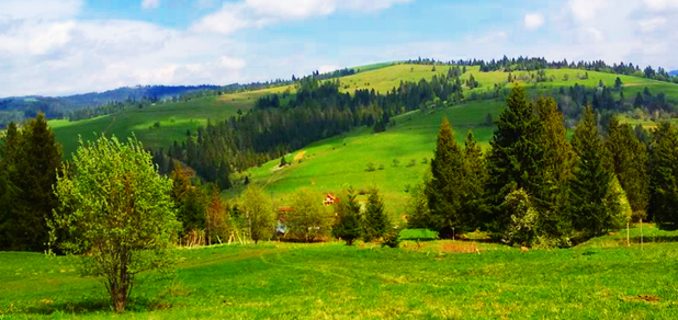 https://cdn1.pokupon.ua/uploaded/new_campaign_pictures/585595/data/main620x292/2.png?1557129786
