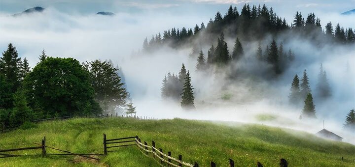 https://cdn1.pokupon.ua/uploaded/new_campaign_pictures/589586/data/main720x340/54436669_2271044843140096_8695249724128624640_n.jpg?1558092695