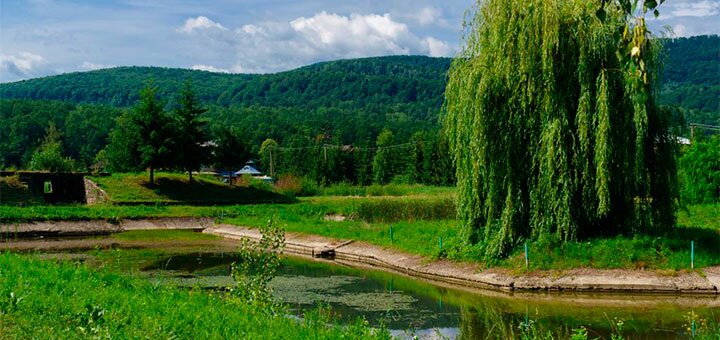 https://cdn1.pokupon.ua/uploaded/new_campaign_pictures/590890/data/main720x340/159491333.jpg?1586760656