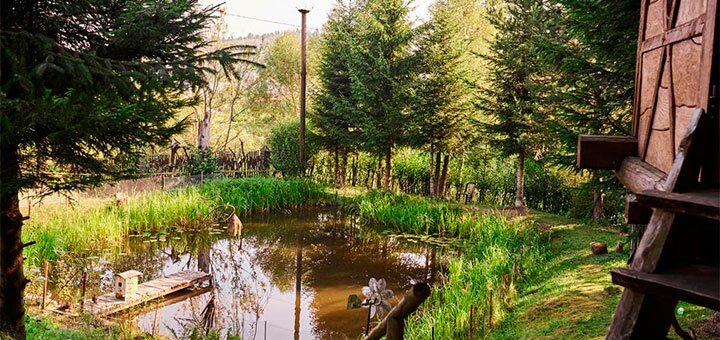 https://cdn1.pokupon.ua/uploaded/new_campaign_pictures/592883/data/main720x340/110617873.jpg?1558952096