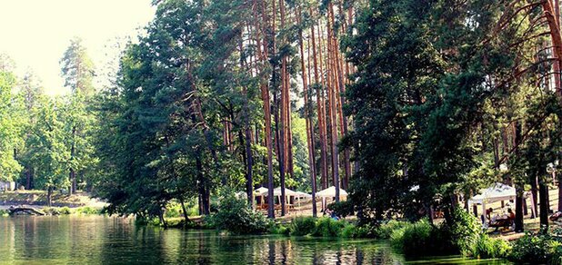 https://cdn1.pokupon.ua/uploaded/new_campaign_pictures/593045/data/main620x292/20915071_368583720228070_6522270623476272251_n.jpg?1558965932
